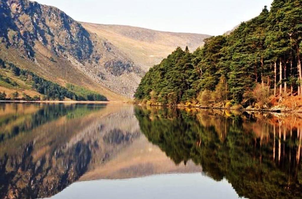 Lakeview Lodge B&B Blessington Rum bild